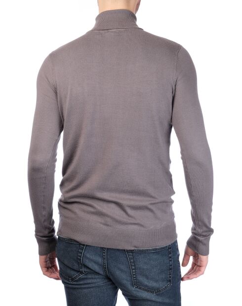 Pull col roulé Joshua gris chiné
