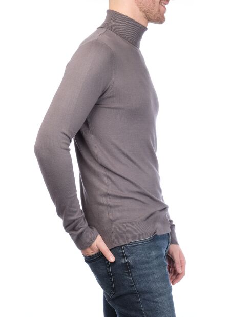 Pull col roulé Joshua gris chiné