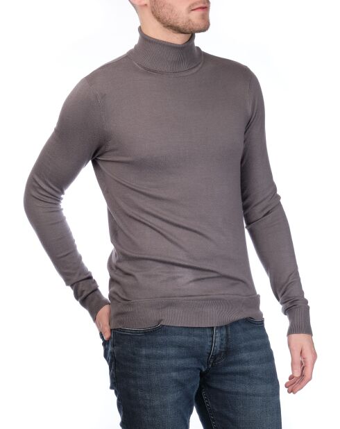 Pull col roulé Joshua gris chiné