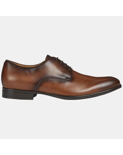 Derbies en Cuir Lacopo cognac
