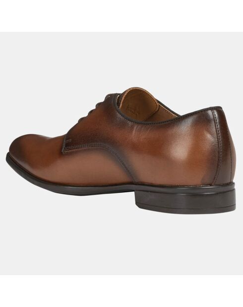 Derbies en Cuir Lacopo cognac
