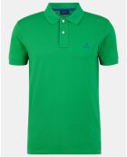 Polo droit vert