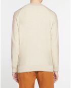 Pull en Coton & Laine col haut beige
