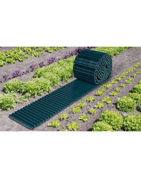 Grüner Gemüsegartenpfad - 500x30x2 cm