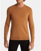 Pull 100% Cachemire Machron col rond camel