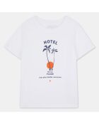 T-Shirt Taylor en Coton blanc