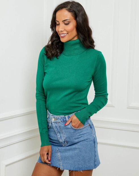 Pull en Cachemire mélangé col roulé Jade vert gazon
