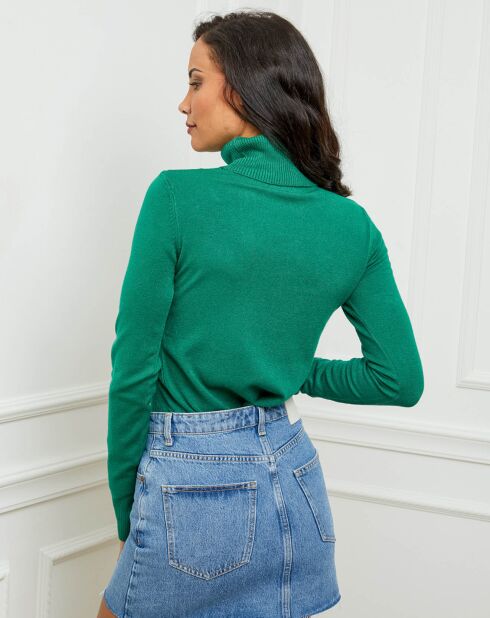 Pull en Cachemire mélangé col roulé Jade vert gazon