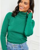 Pull en Cachemire mélangé col roulé Jade vert gazon