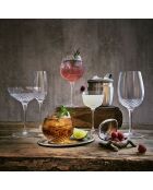 6 calici da champagne Roma 1960 trasparenti - 24cl