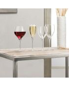 4 Michel Angelo champagneglazen transparant - 22 cl