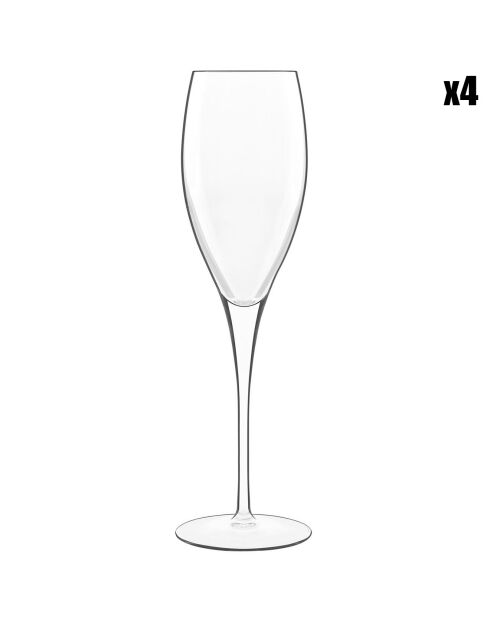 4 copas de champán Michel Angelo transparentes - 22 cl