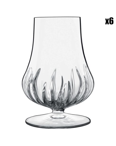 6 Verres à liqueur Mixology Elixir transparents - 23 cl