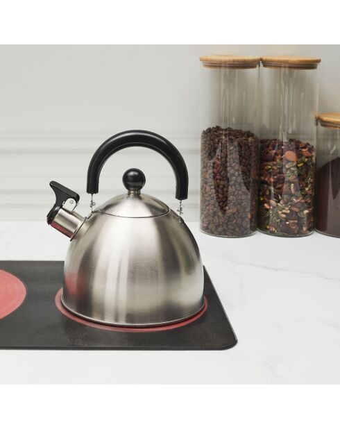 Bouilloire induction en Acier aléatoire - 1.5 L