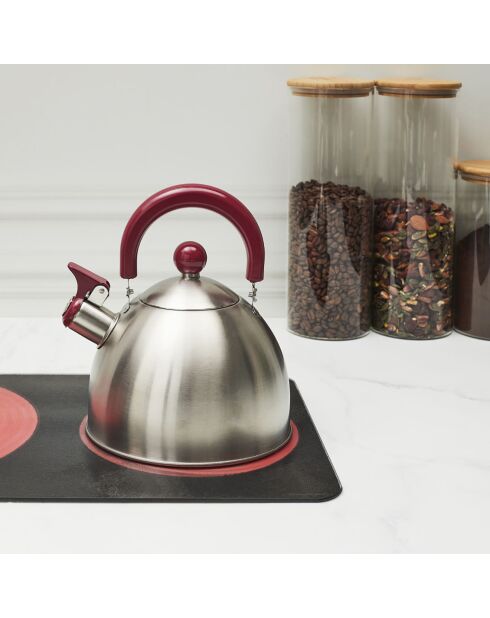 Bouilloire induction en Acier aléatoire - 1.5 L