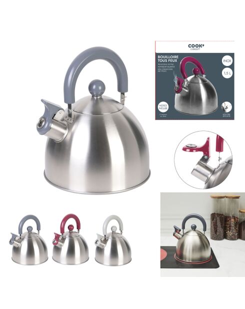 Bouilloire induction en Acier aléatoire - 1.5 L