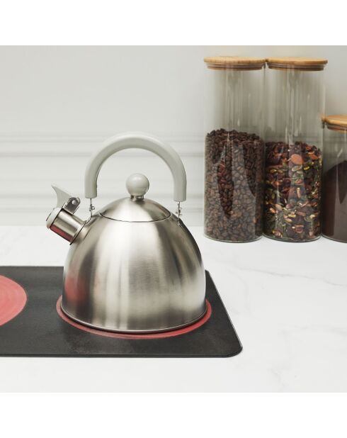 Bouilloire induction en Acier aléatoire - 1.5 L