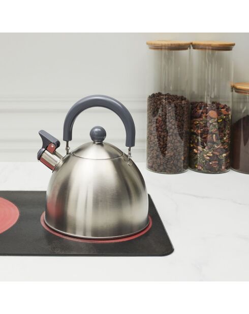 Bouilloire induction en Acier aléatoire - 1.5 L