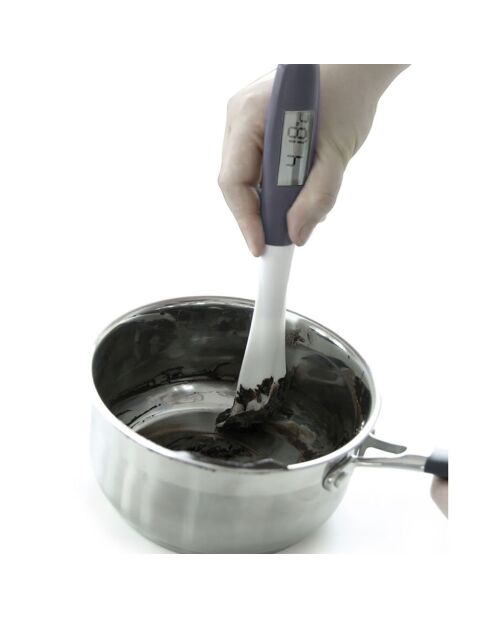 Spatule thermomètre coloris aléatoire - 23x4.5 cm