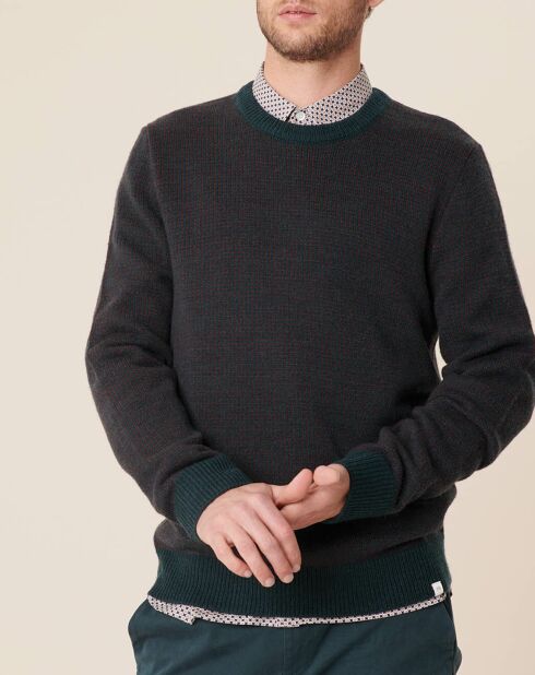 Pull en Laine mélangée Janon foret/prune