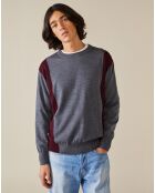 Pull 100% Laine Dilege gris/bordeaux