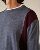 Pull 100% Laine Dilege gris/bordeaux