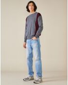 Pull 100% Laine Dilege gris/bordeaux