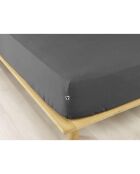 Drap housse  Flanelle Candice anthracite