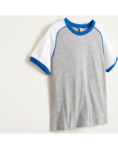 T-Shirt Moby en Coton tricolore gris/blanc/bleu