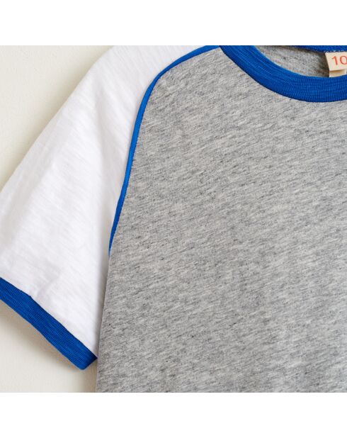 T-Shirt Moby en Coton tricolore gris/blanc/bleu