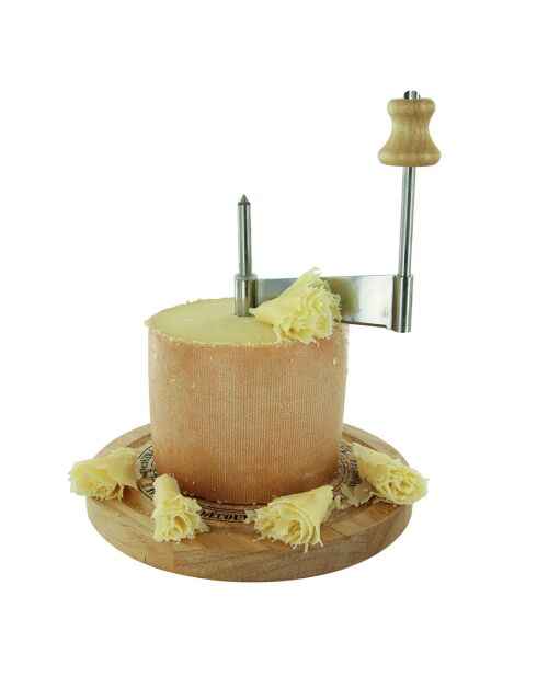 Racloir à fromage avec cloche marron/transparent/gris - 18.2x24.5 cm