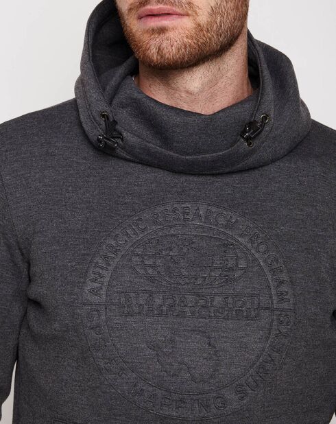 Sudadera con capucha Grey Bear