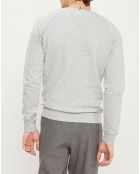 Sweat col rond Darney gris