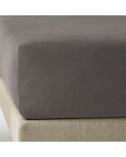 Drap housse Elena gris