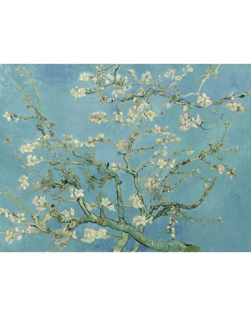 Tapis vinyle Almendro bleu - 200x266 cm