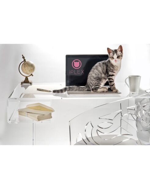 Bureau Scriptorium transparent - 91x60x73 cm