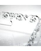 Petit Plateau Galatea transparent - 33x23x4 cm