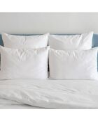 2 Oreillers moelleux anti-acariens & anti-bacteriens blancs - 45x70 cm
