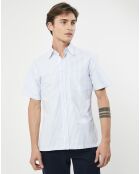 Chemise en coton épais Slim Fit Bat Oxford à rayures bleu ciel