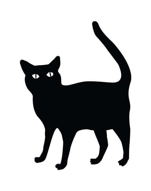 Sticker Chat noir - 30x40 cm