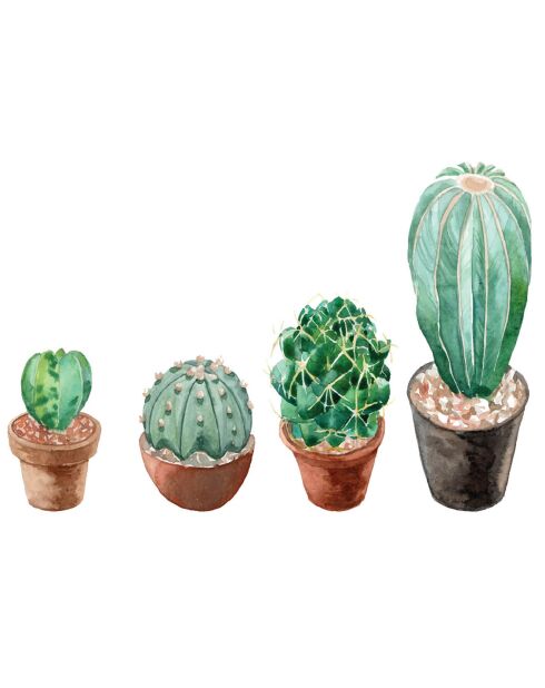 Sticker 4 cactus terracota multicolore - 60x40 cm