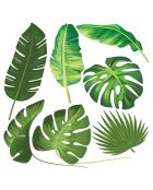 Sticker 7 feuilles tropicales vert - 100x100 cm