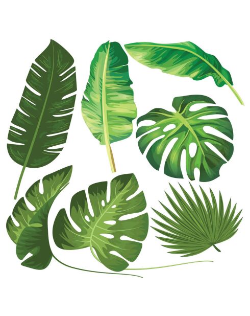Sticker 7 feuilles tropicales vert - 100x100 cm