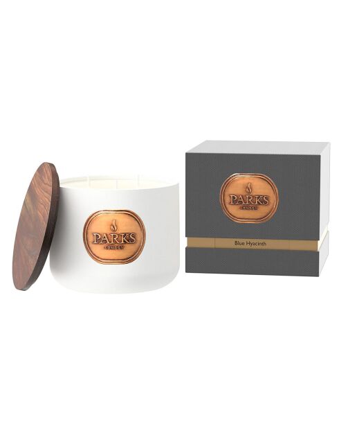 Bougie parfumée Ceramics Jacinthe bleue - 3 mèches 69h