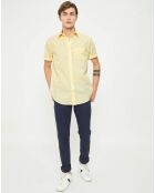 Chemise droite Color rayée jaune