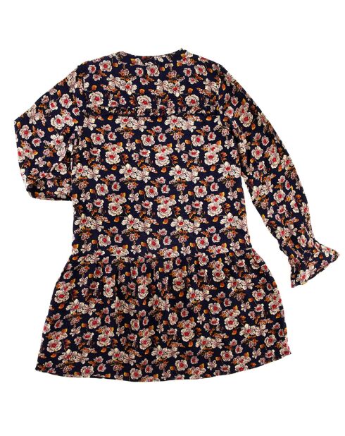 Robe Teo imprimé fleuri marine/multicolore