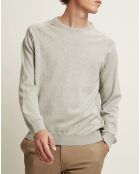 Pull Tiago gris