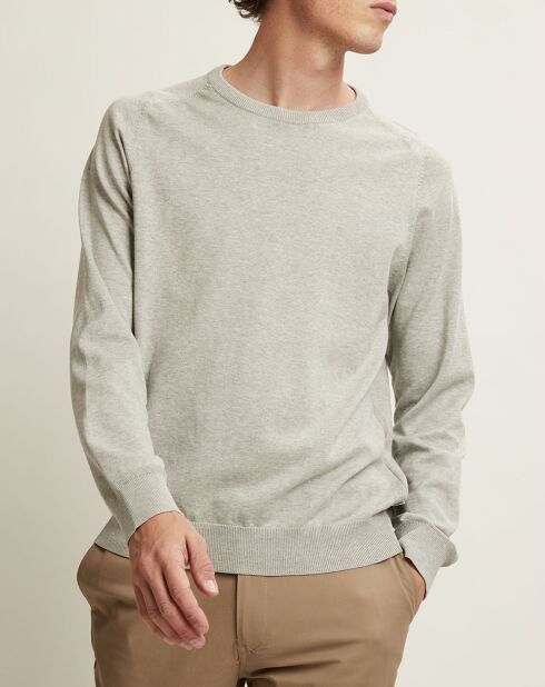 Pull Tiago gris