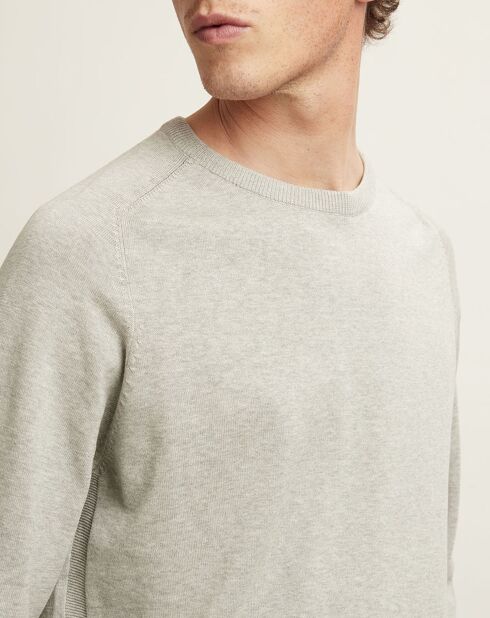Pull Tiago gris