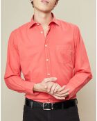 Chemise regular Paul Pat pavot